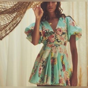 Hermant and Nina dress